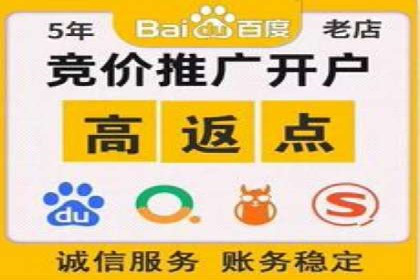 从零到一：企业如何通过百度竞价实现快速增长？——以某公司为例